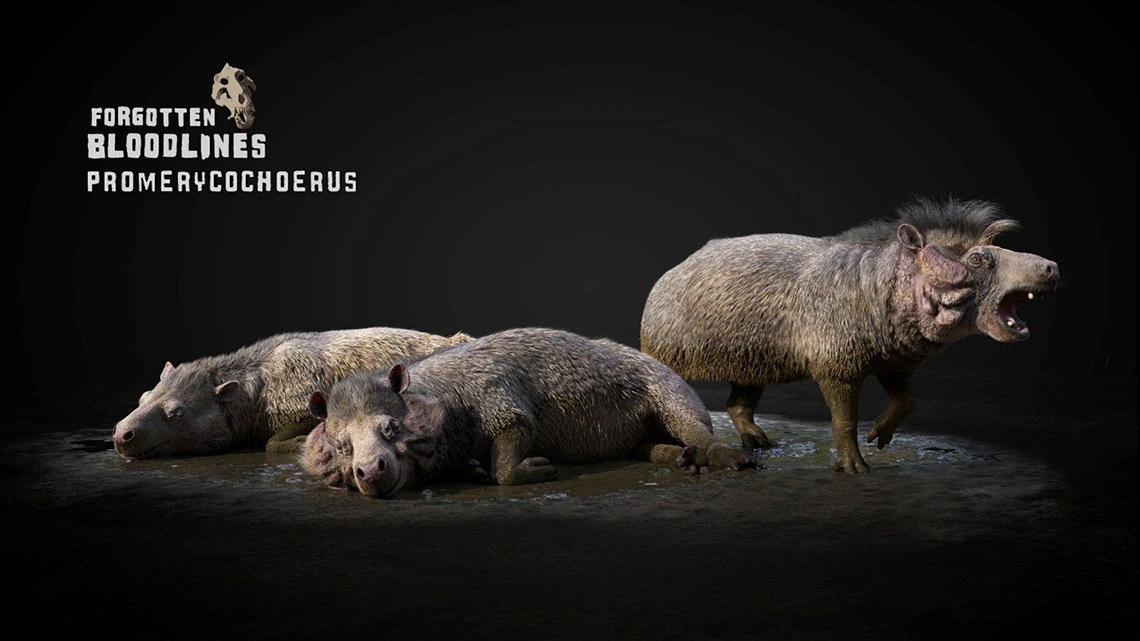 Forgotten Bloodlines: Promerycochderus