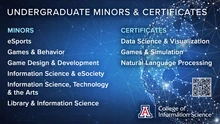 Undergraduate Minors and Certificates