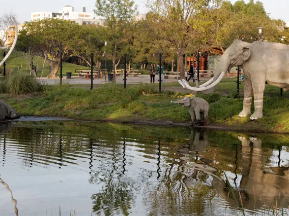 La Brea Tar Pits