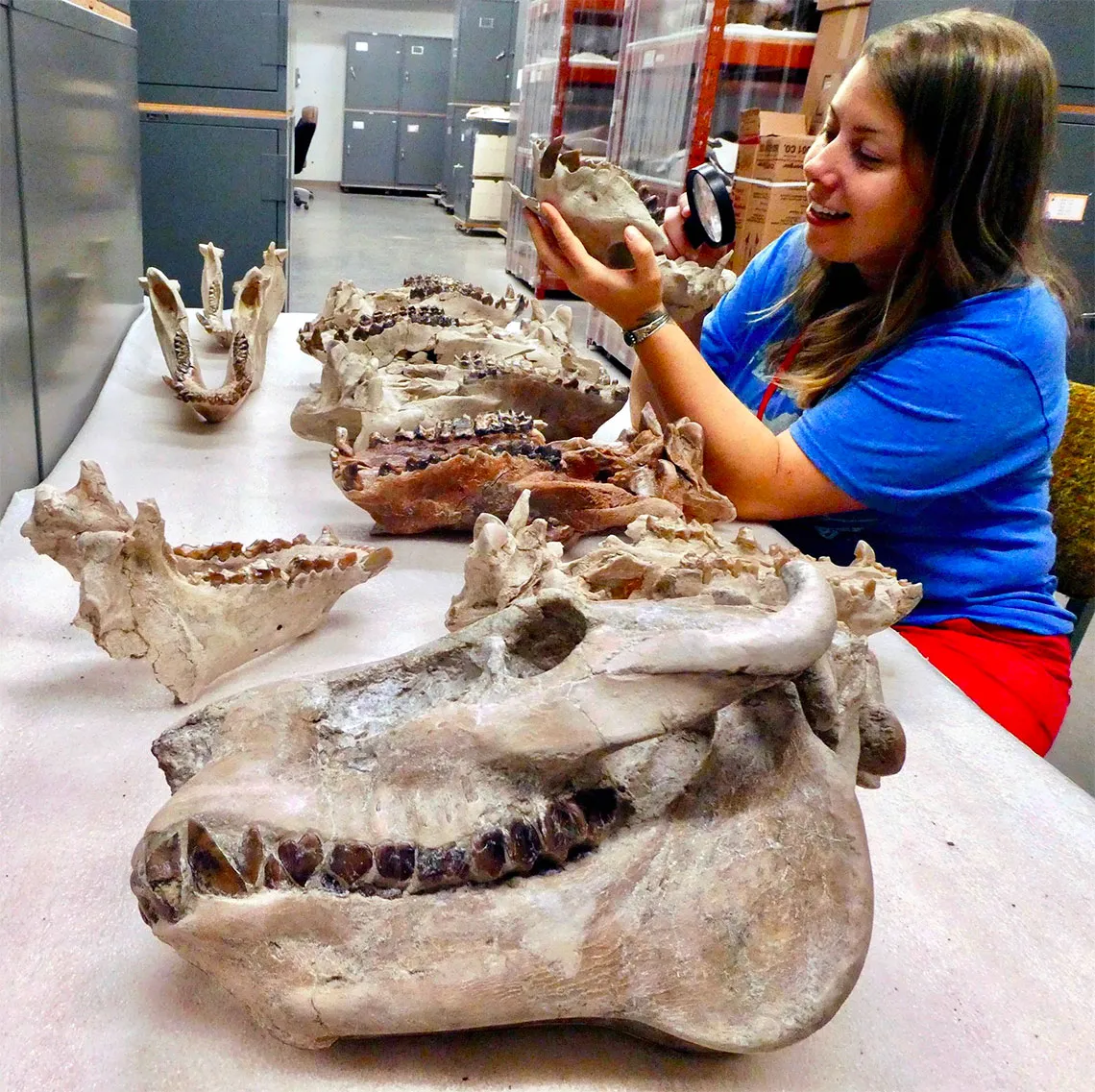 Meaghan Wetherell at the Museum of the Rockies